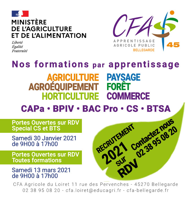 CFAAD45 AFFICHE JPO 30 Janvier 2021V2 CFAAD45 JPO 30 Janvier 2021V2